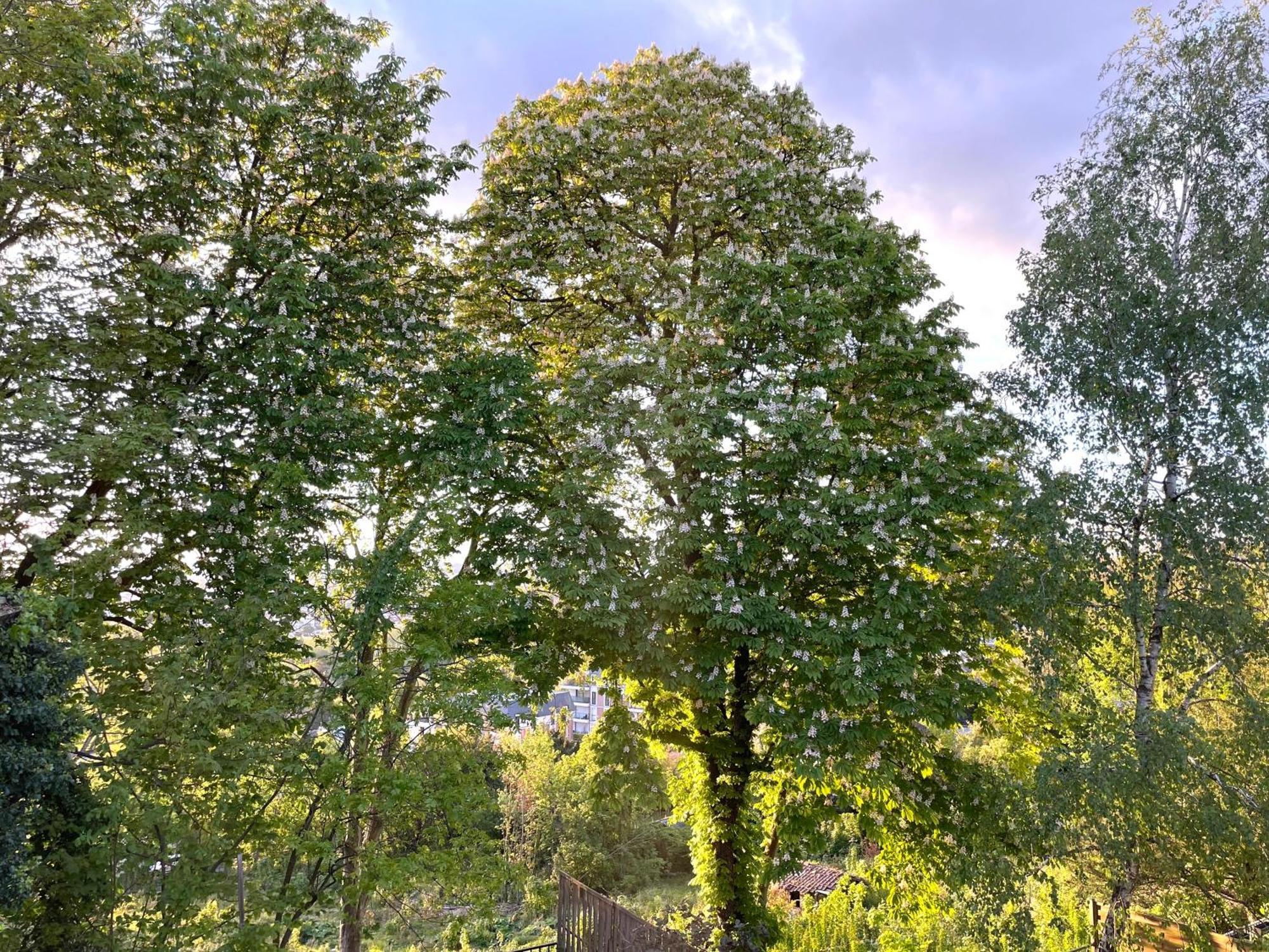 Sara Home Chennevières-sur-Marne Esterno foto