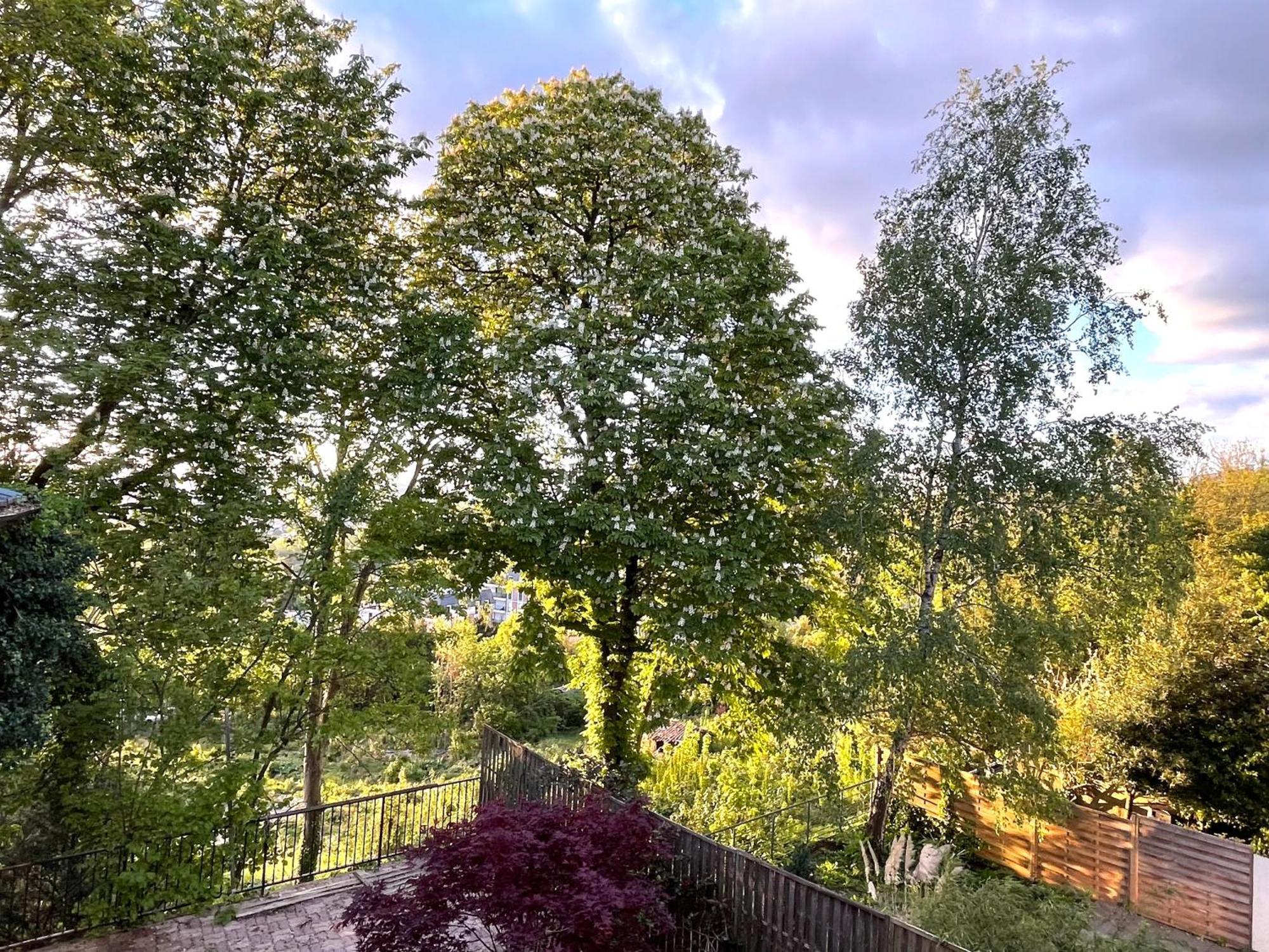 Sara Home Chennevières-sur-Marne Esterno foto
